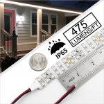 3528 Outdoor White LED Strip Light - Dual Row LED Tape Light - 12V/24V - Weatherproof IP65 - 475 lm/ft