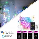 Outdoor/Indoor Christmas Copper Wire LED Fairy String Light, Color Changing - Alexa/Google Assistant Compatible WiFi Controller