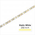 Custom Length Single Color LED Strip Light - Eco Series Tape Light - 24V - IP20 - 250 lm/ft - 1m