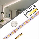 5m Tunable White LED Strip Light - 2-in-1 Color-Changing LED Tape Light - 24V - IP20