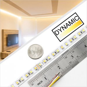 5m Tunable White LED Strip Light - Color-Changing LED Tape Light - 12V/24V - IP20