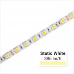 Custom Length Single Color LED Strip Light - Radiant Series Tape Light - 24V - IP20 - 1m