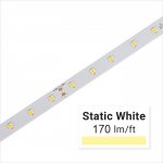 36V White LED Strip Light - High CRI - HighLight Series Tape Light - IP20 - 5m / 30m