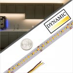 5m 2835 SMD Tunable White LED Strip Light - Color-Changing LED Tape Light - 24V - IP20