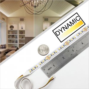 3528 Tunable White LED Strip Light - 2-in-1 Color-Changing LED Tape Light - 24V - IP20 - 5m