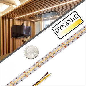 5m Tunable White High Density LED Strip Light - 2-in-1 Color-Changing LED Tape Light - 24V - IP20