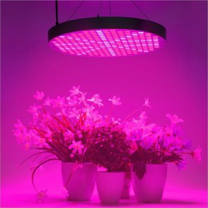 50W Full-Spectrum UFO LED Grow Light - 6-Band Red/Red/Blue/White/UV/IR for Indoor Plant Growth
