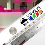 3528 Single Color LED Strip Light/Tape Light - 12V/24V - IP65 Weatherproof - 5m