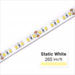 Custom Length Single Color LED Strip Light - Highlight Series Tape Light - High-CRI - 24V - IP20 - 1m